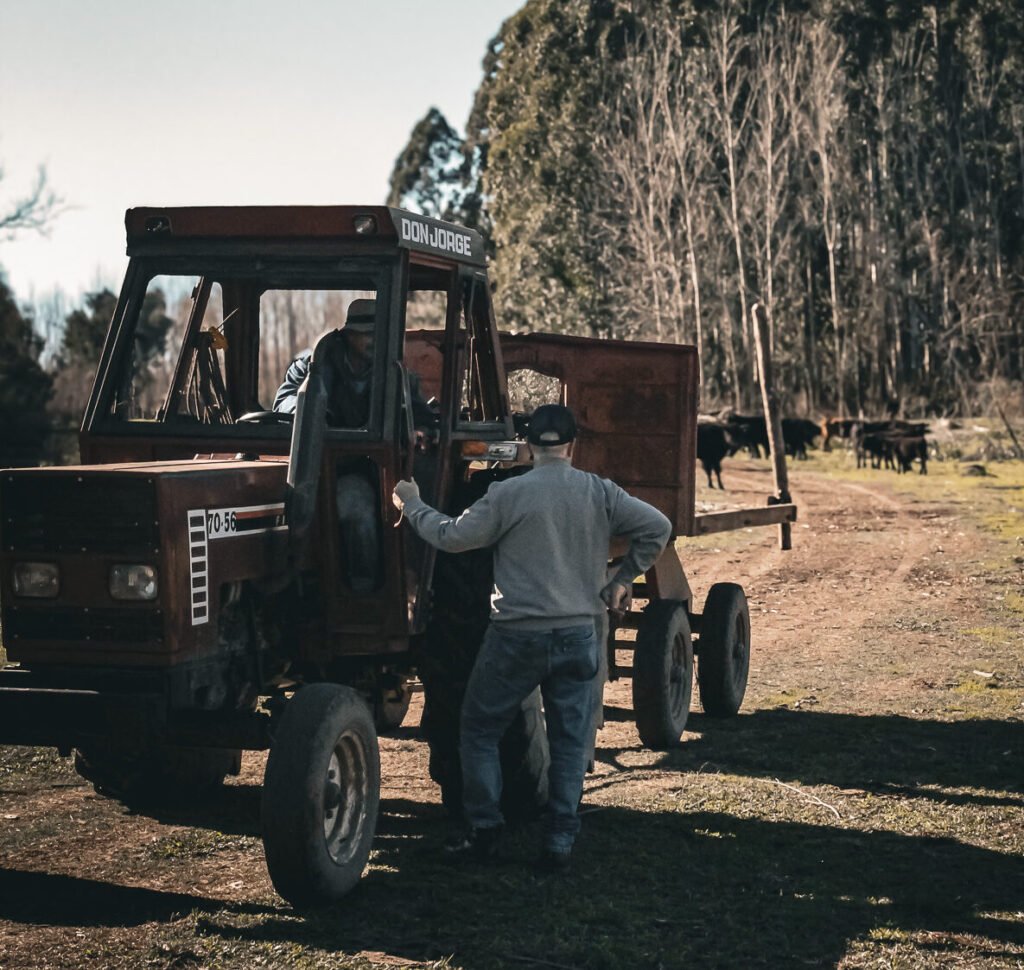 Avicola Bettiga - Rancho Bettiga foto campo